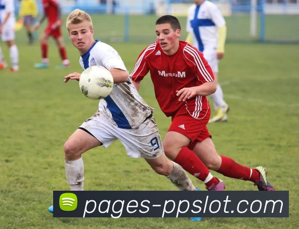 奥林匹斯之门1000官网服务体系