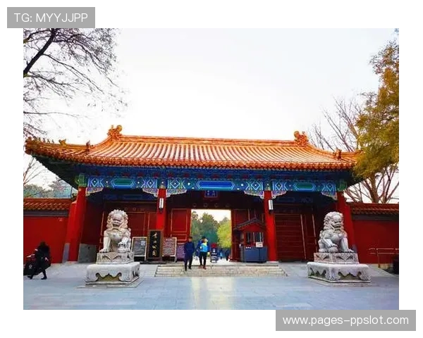 《火车上的生死决斗枪战之旅谁能在激烈追逐中获得最后胜利》